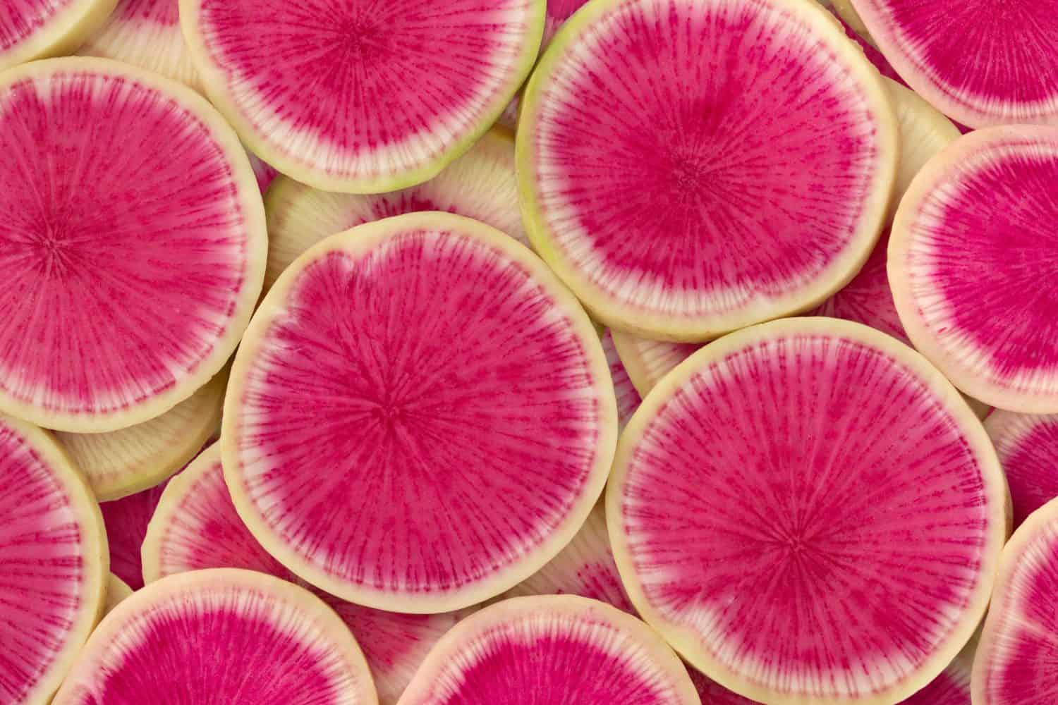 Watermelon Radish