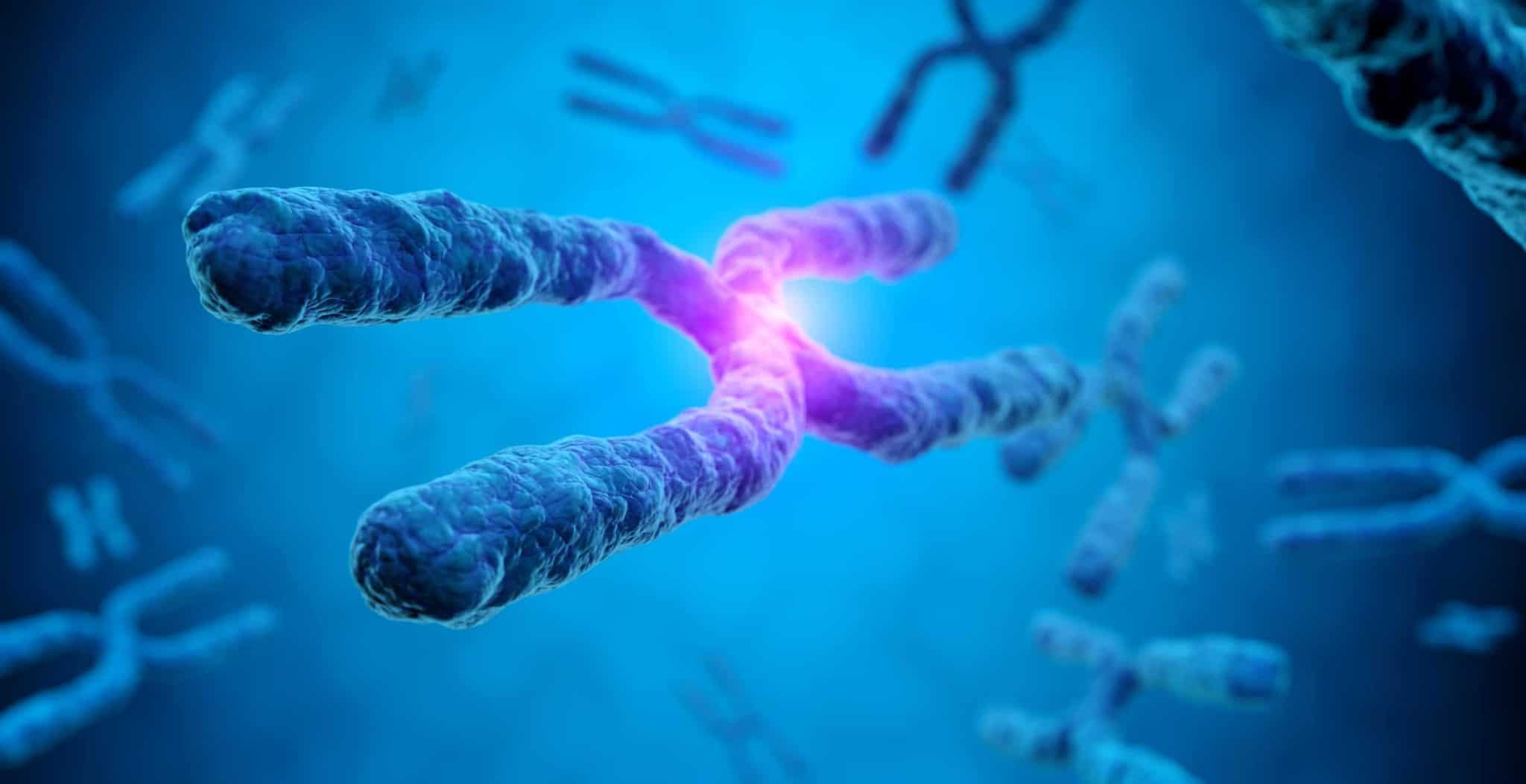 The average american can t answer these simple biology questions