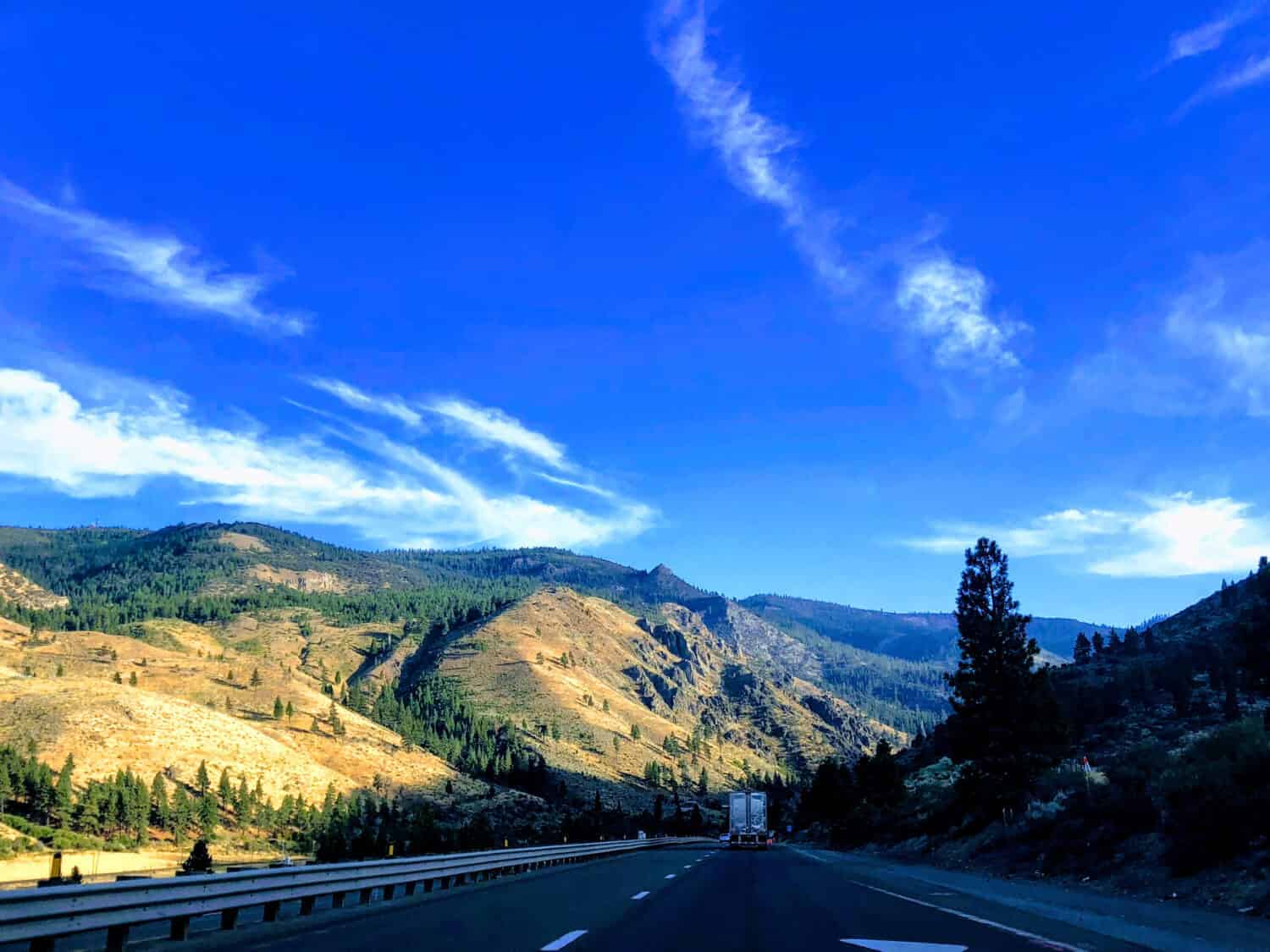 Ability to Travel