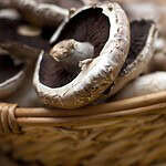 Mushroom Steaks