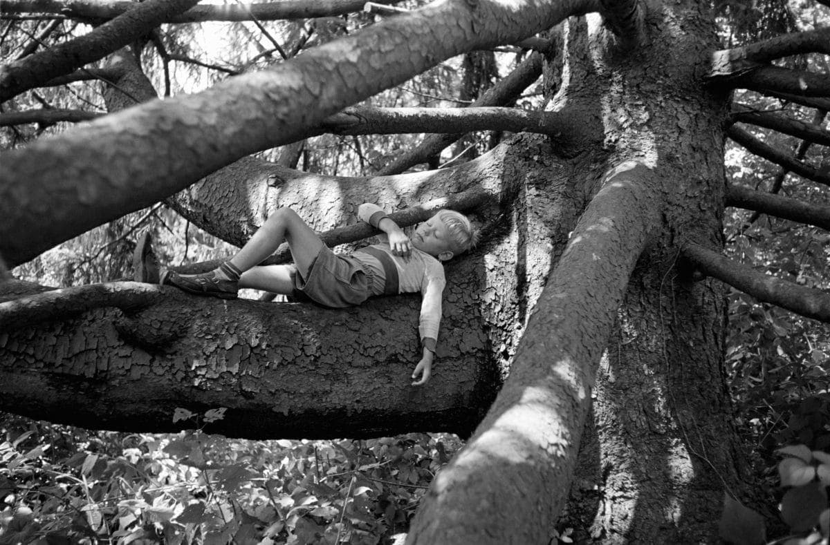 1950s Memories in 17 Stunning Photos