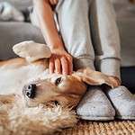 Why MUK LUKS Are Perfect for Moms