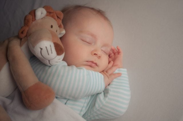 Carefree sleep little baby with soft toy lion on bed in bright room. Baby boy sleeping together with his favourite toy. Peaceful child lying on bed with closed eyes.