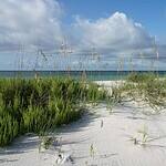 Crescent Beach, FL
