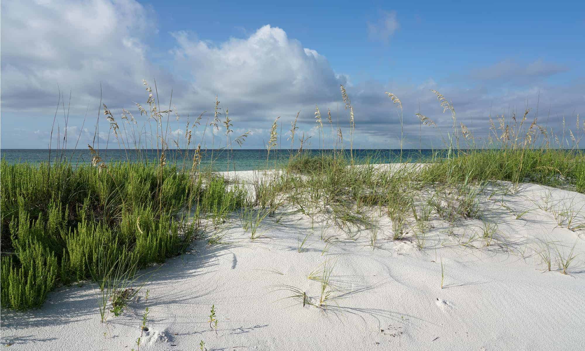 Crescent Beach, FL