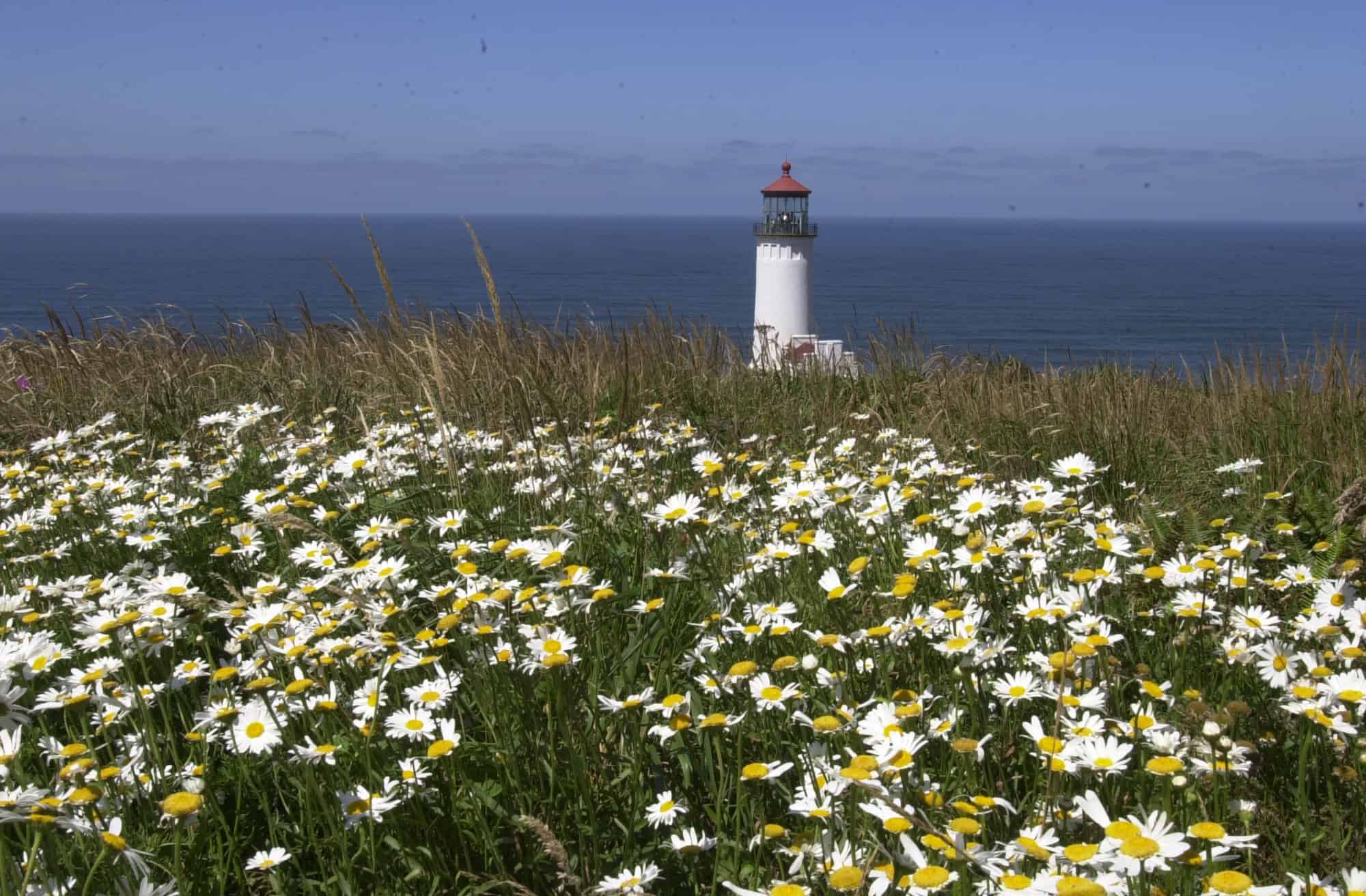 The Spring String Lighthouse 5 Underrated Family Destinations That are Perfect for Spring Break