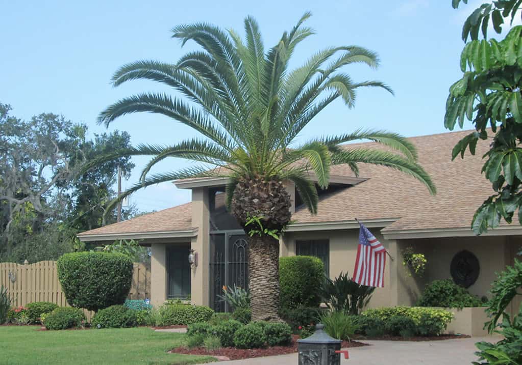 Palm Coast, Florida