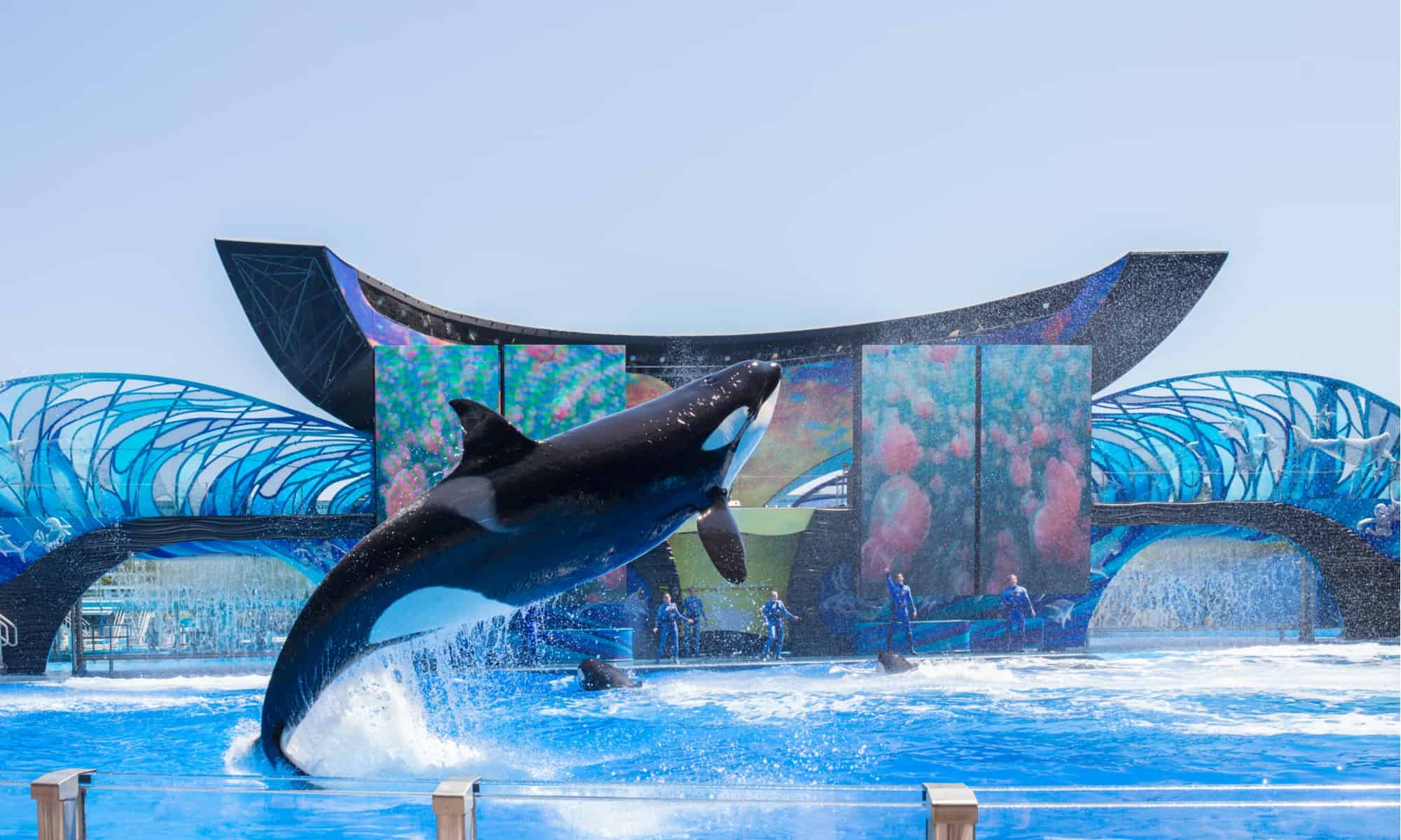 SeaWorld