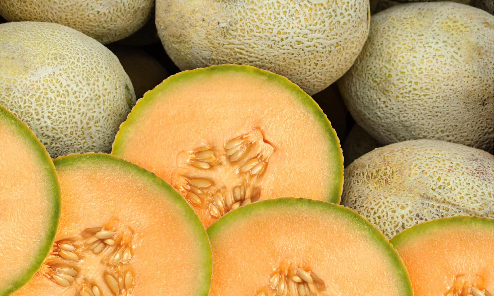 Wholesale Produce Supply Fresh Cut Cantaloupe