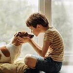 America's Most Popular Small Dog Breeds in 2025