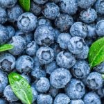 What Blueberries Were Recalled?