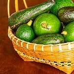 Anti-Inflammatory Properties