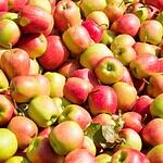 Juicy Juice Apple Juice