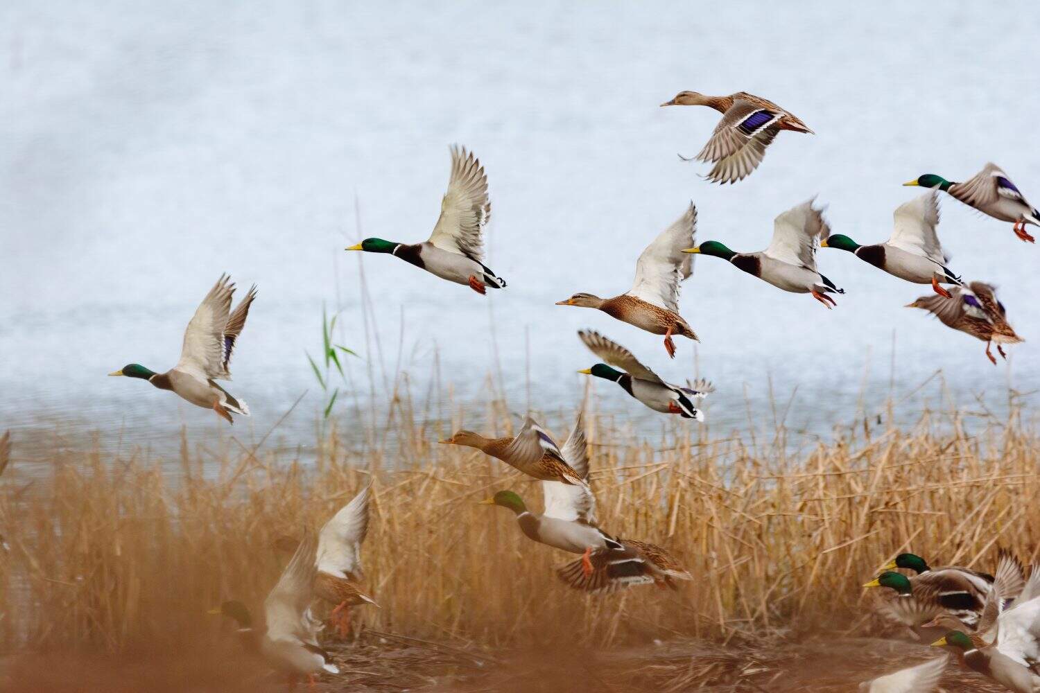 You Can Buy a Home in This Hunting Hotspot for Less Than $28,000