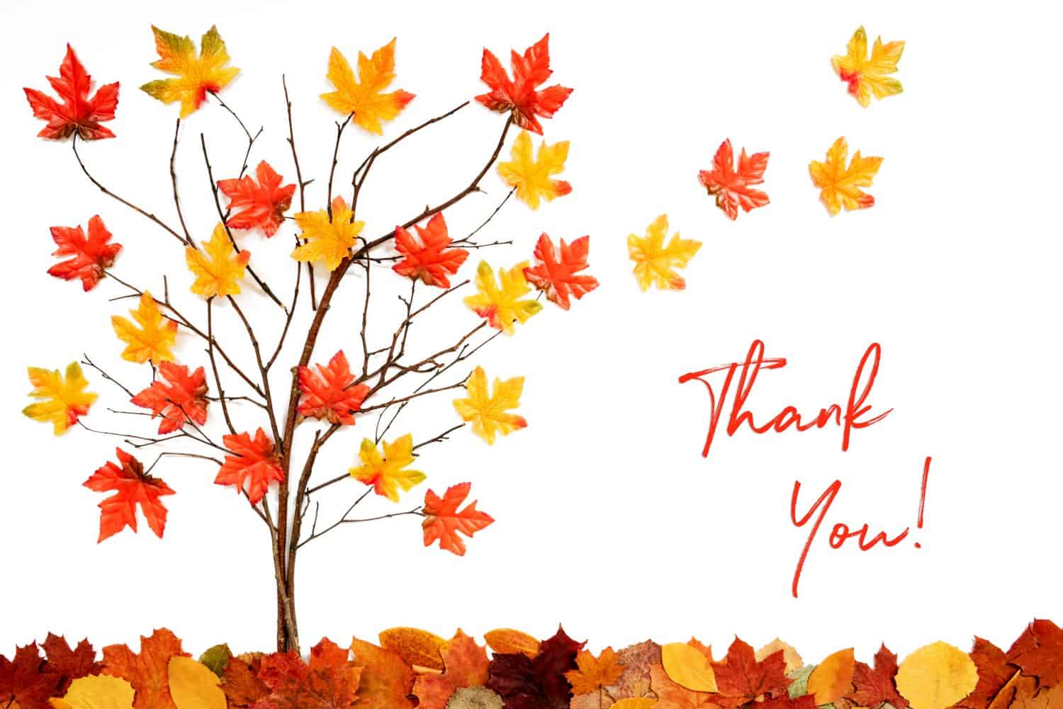 Tree With Colorful Leaf Decoration, Leaves Flying Away, Text Thank You