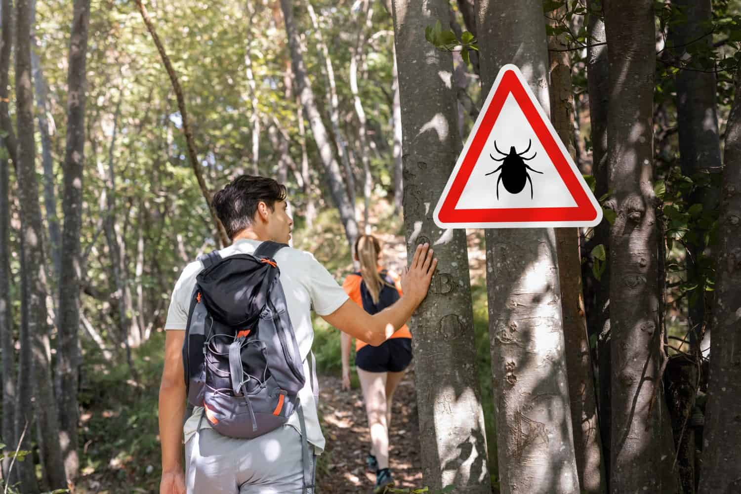 What Kind of Ticks Spread Lyme Disease?