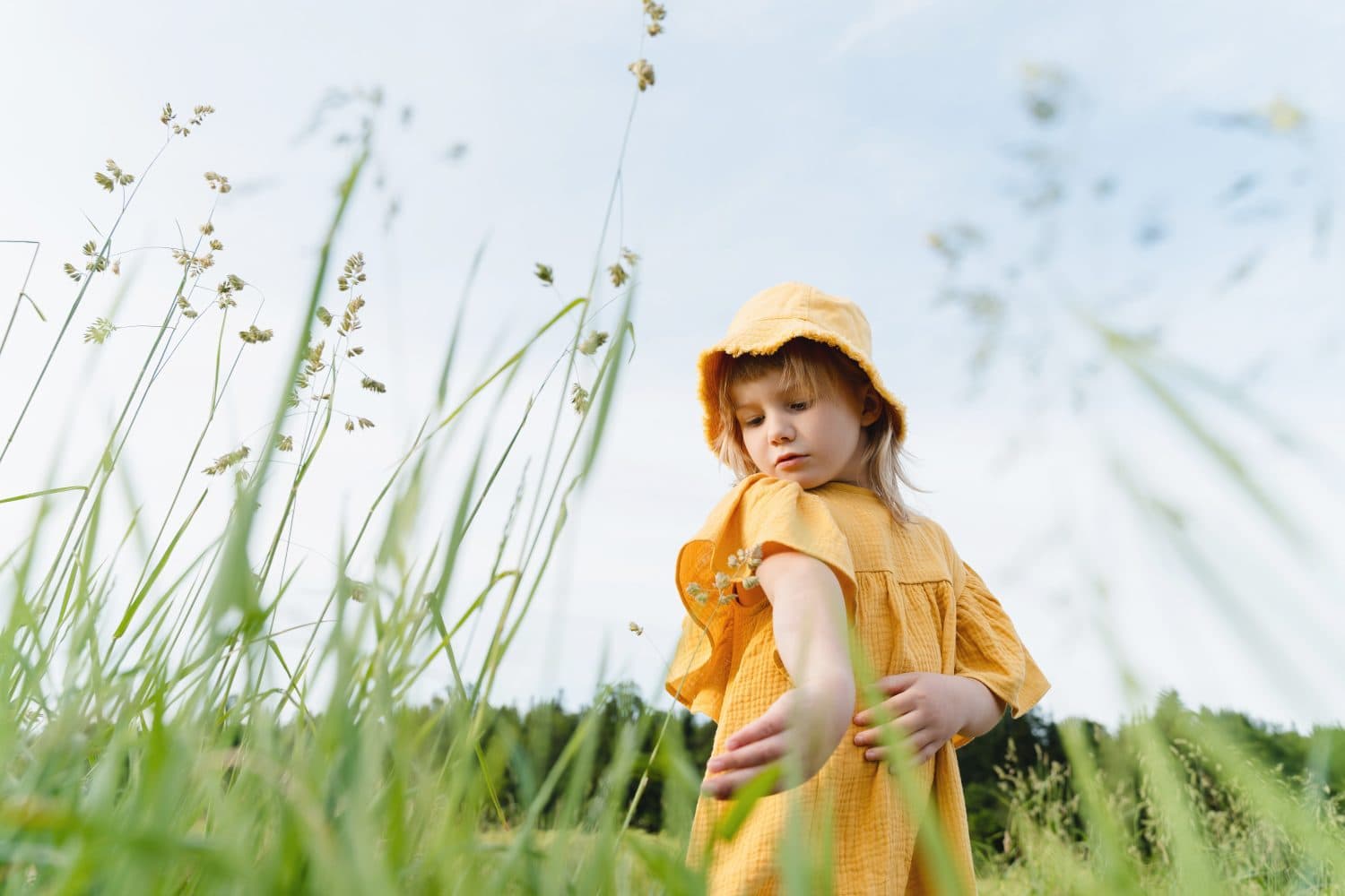 What to Do After a Tick Bite