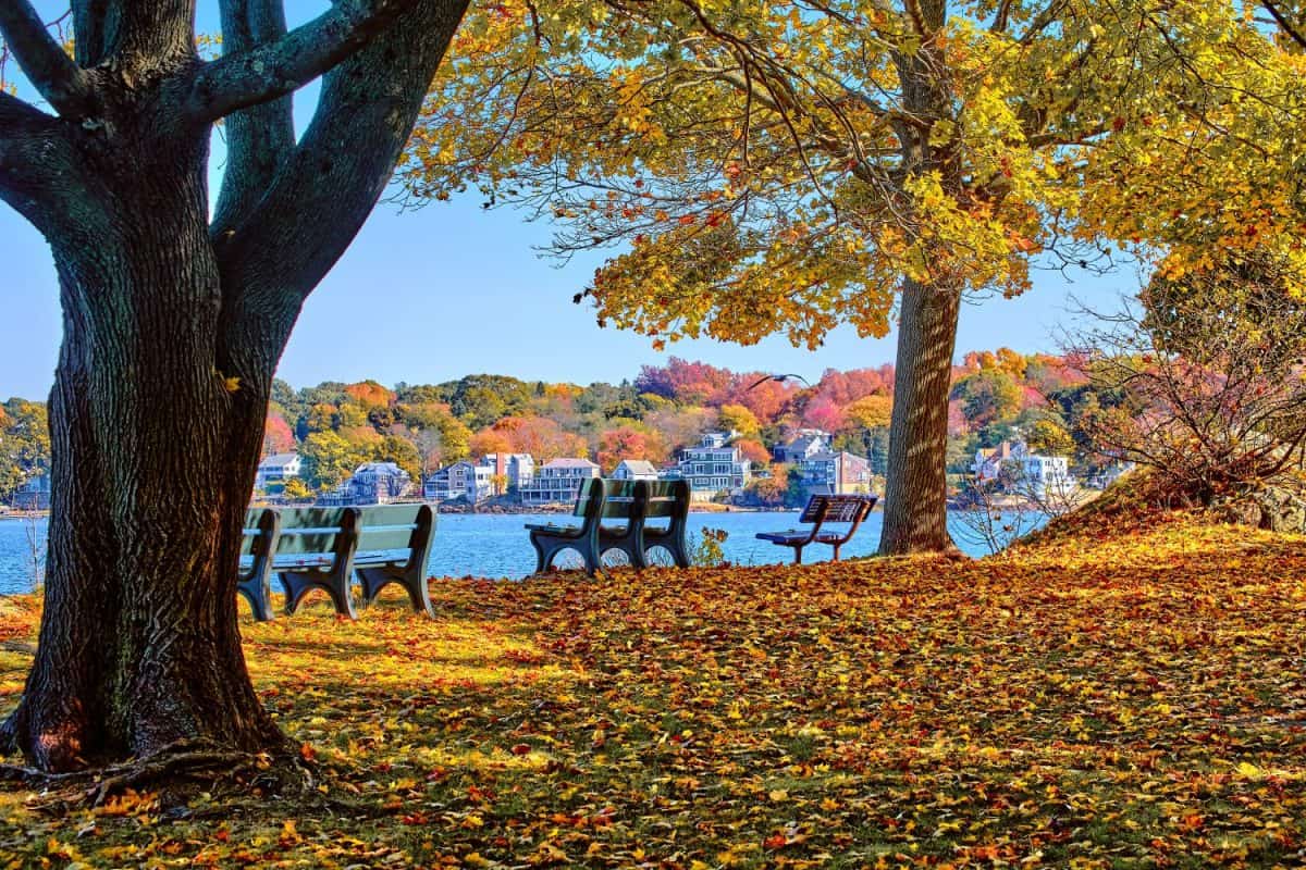 A fall day in a New England park.