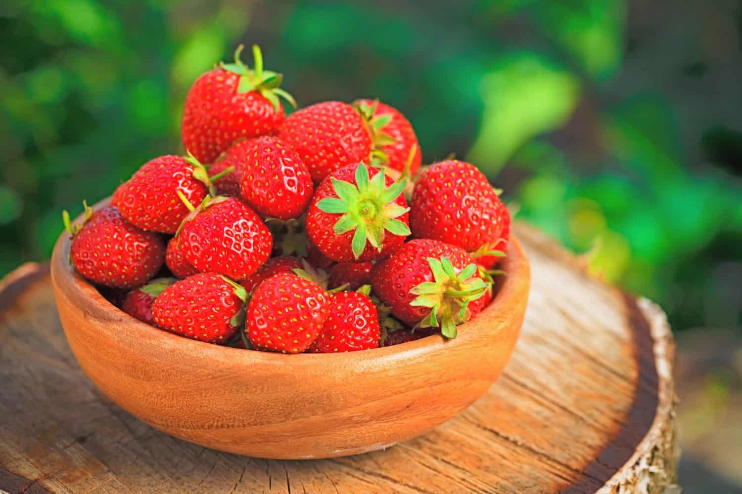 5. Strawberry Vanilla