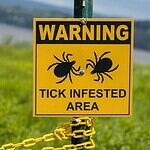 Preventing Infection