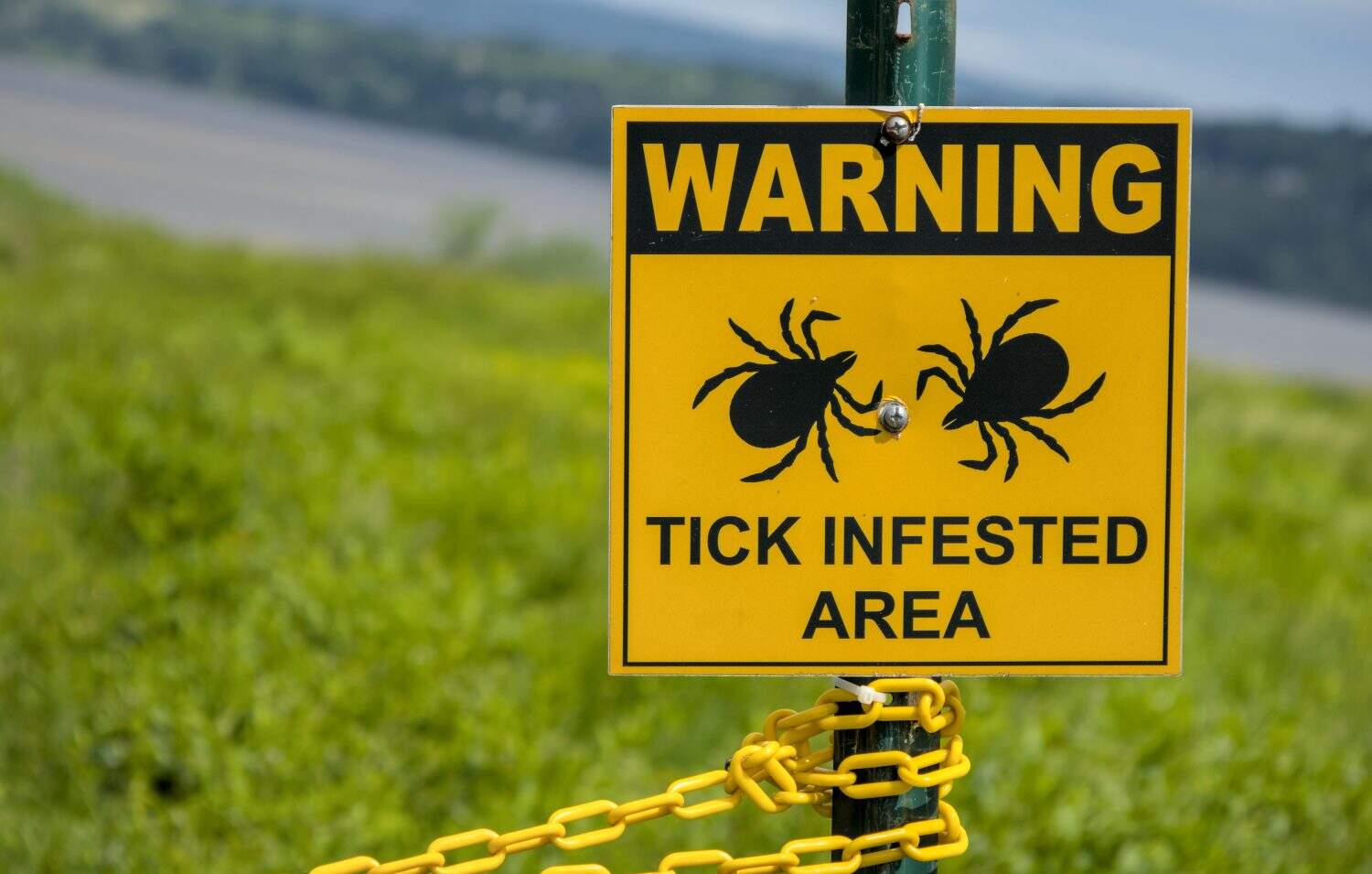 Preventing Infection