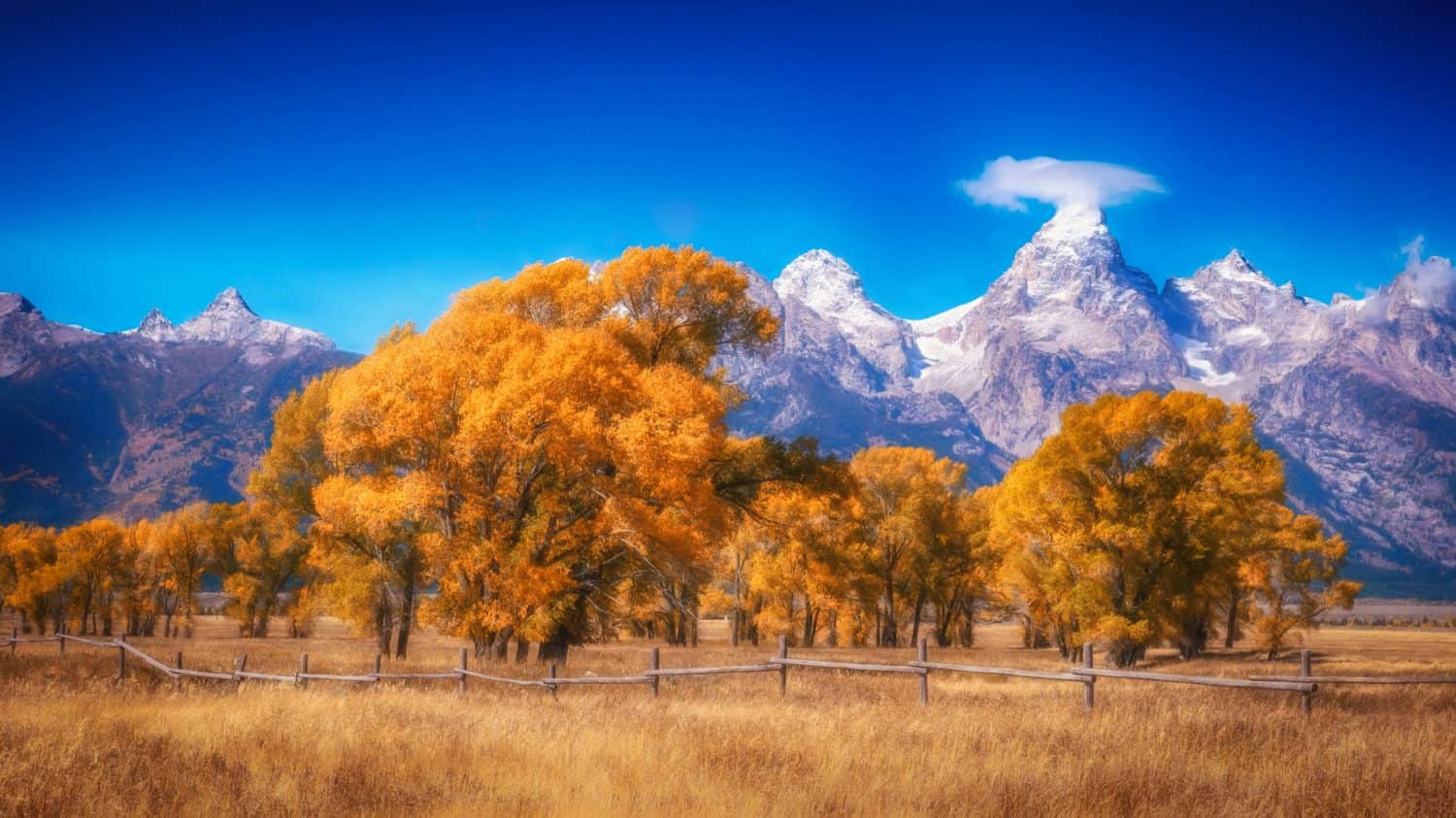 Trees with autumn foliage in front of Grand Teton mountains, Jackson Hole, Wyoming