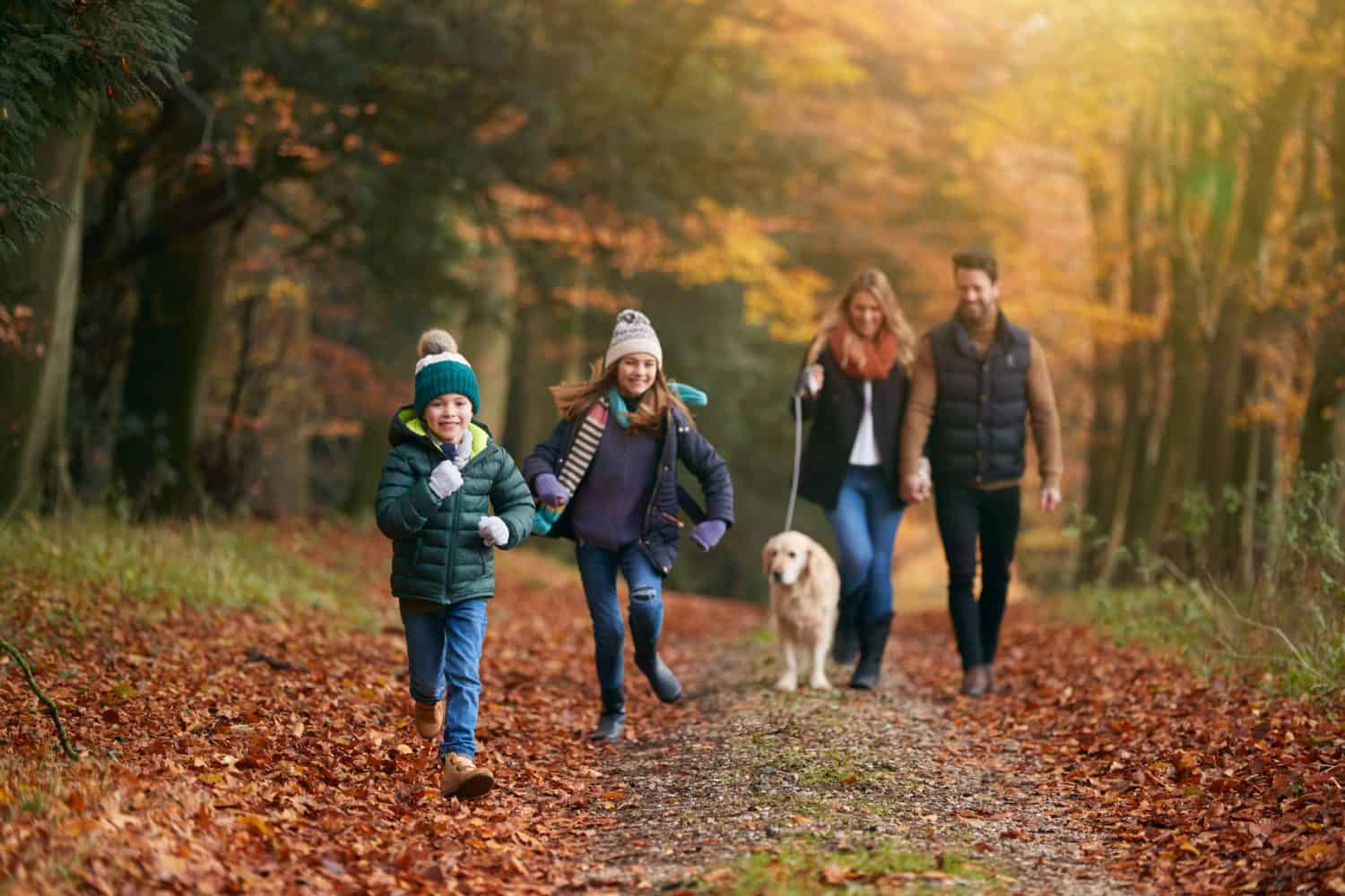 Family Walking With Pet Golden Retriever Dog Along Autumn Woodland Path Together