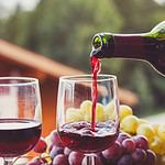 Cabernet Franc