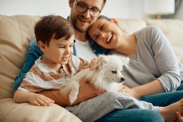 Happy little boy and his parents having fun with their family dog at home.