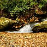 36. Avery Creek, NC