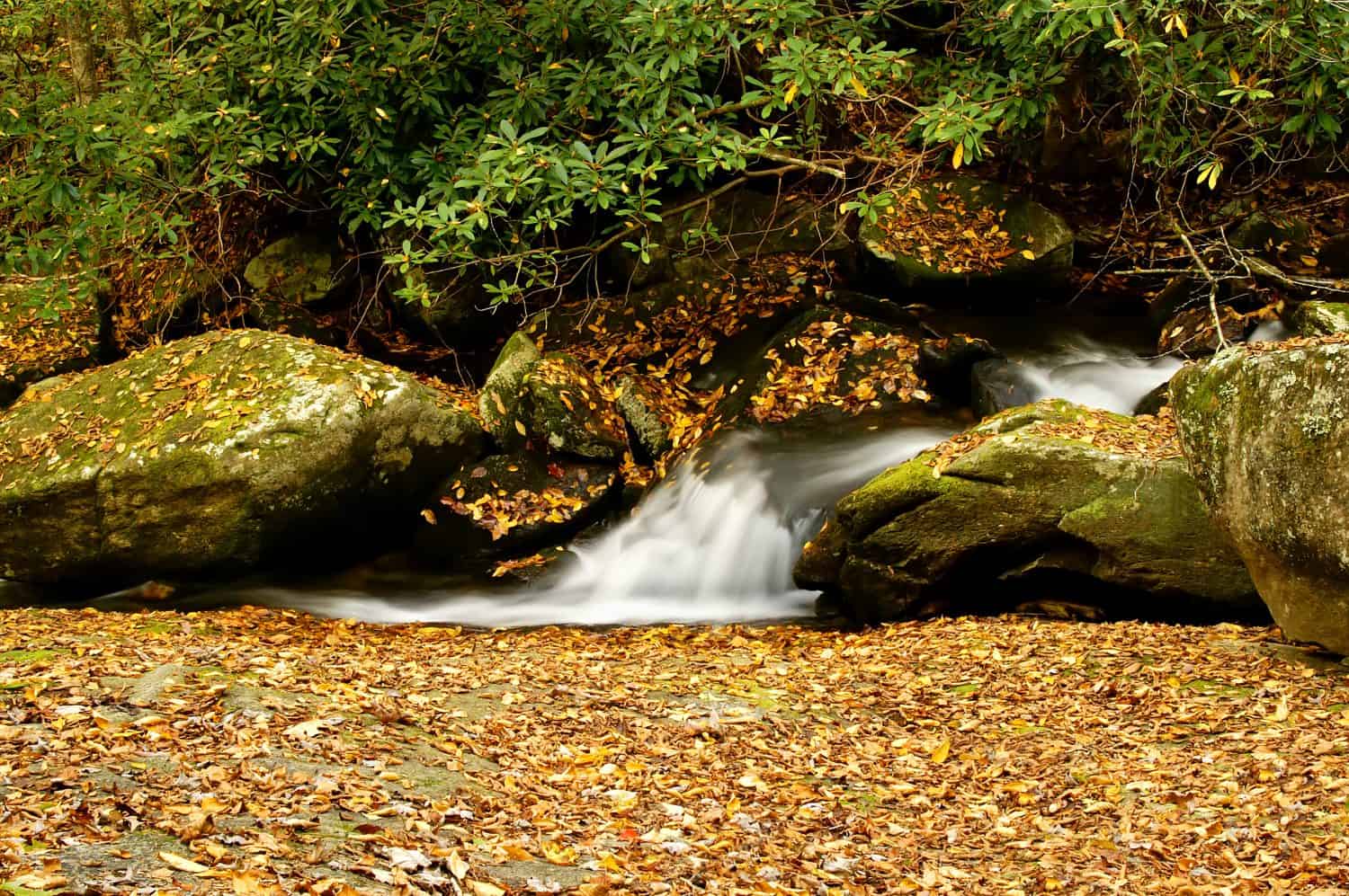 36. Avery Creek, NC