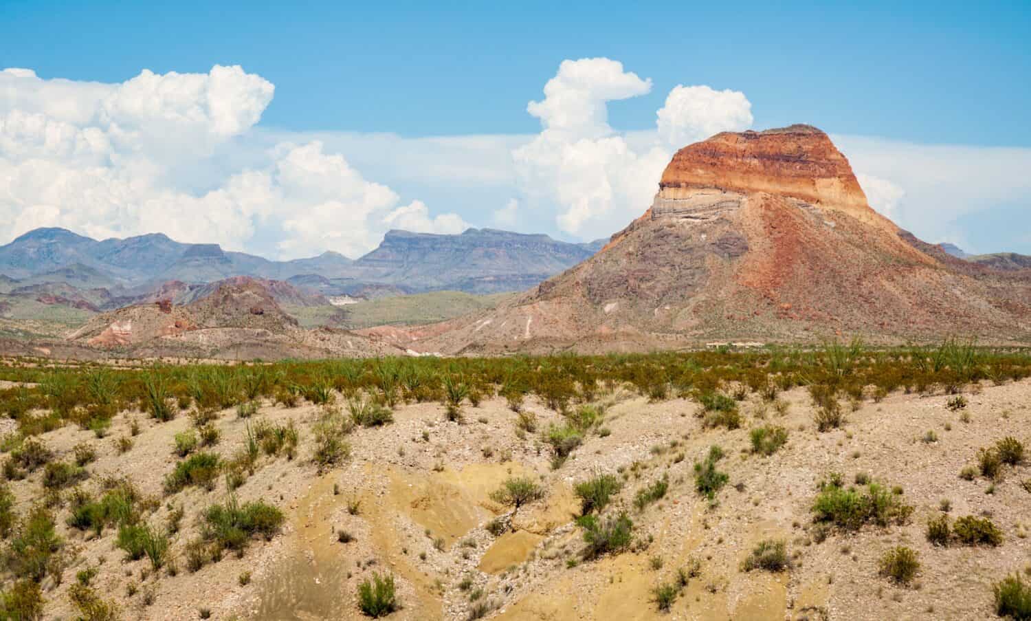Things to Do at Big Bend National Park
