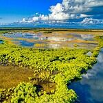 Things to Do at Everglades National Park