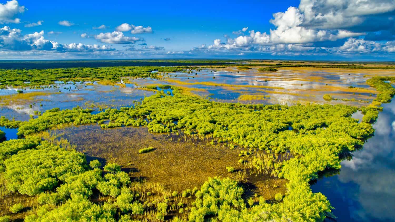 Things to Do at Everglades National Park
