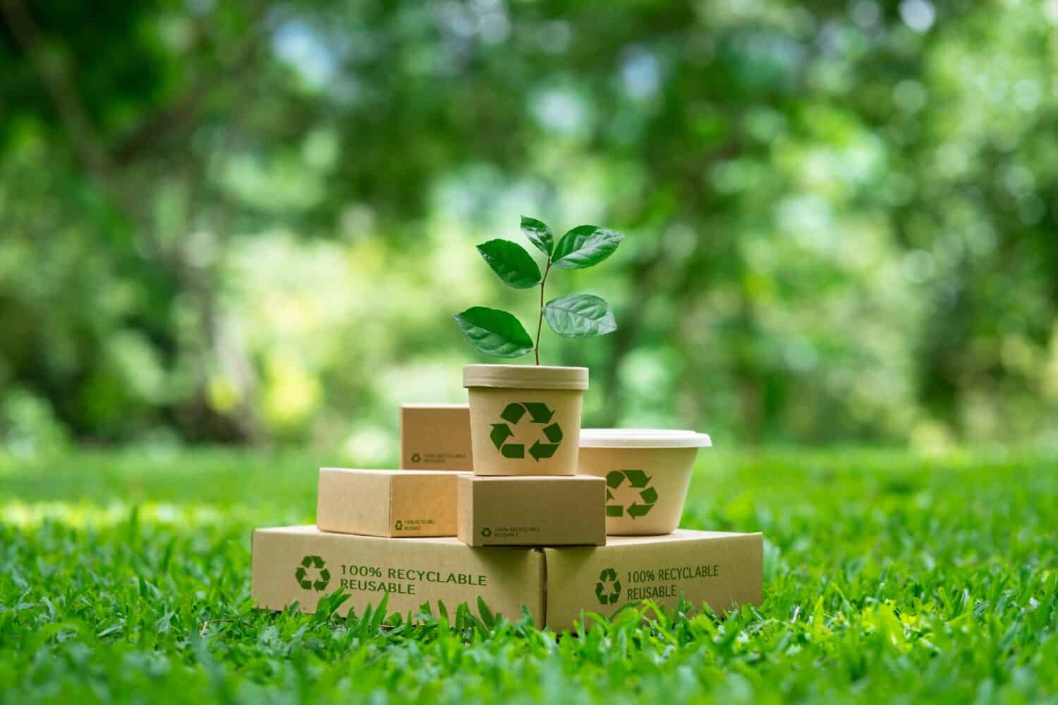 Marcal Paper Products