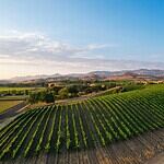 6. Los Olivos, CA