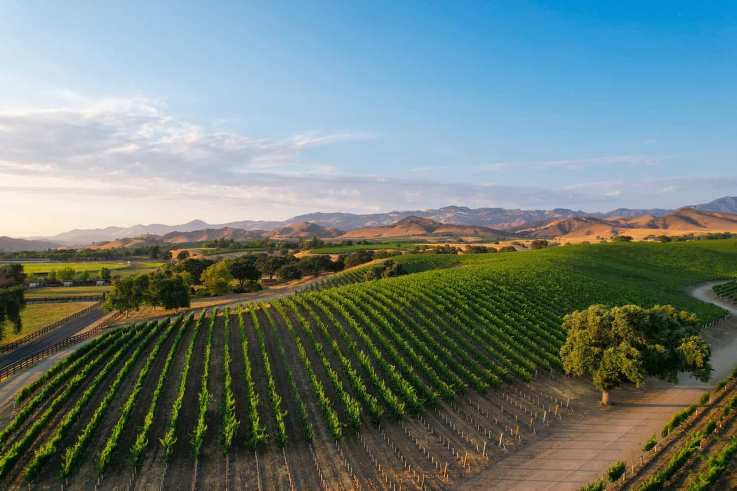 6. Los Olivos, CA