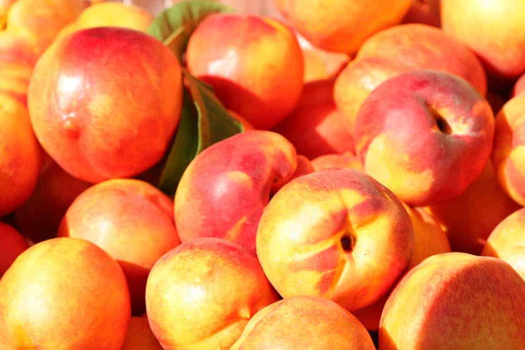 Nectarines: Sweet and Suspect