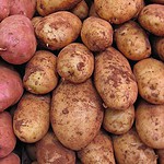 Potatoes: A Root Problem