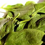 Spinach: A Leafy Green Loaded with Chemicals