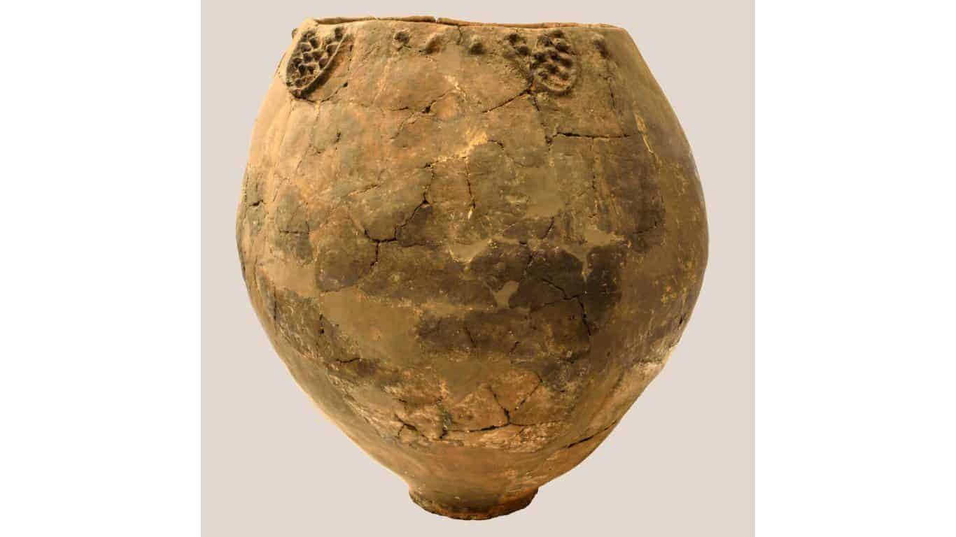 Hajji Firuz Tepe Wine