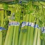 Celery: Crunchy and Contaminated