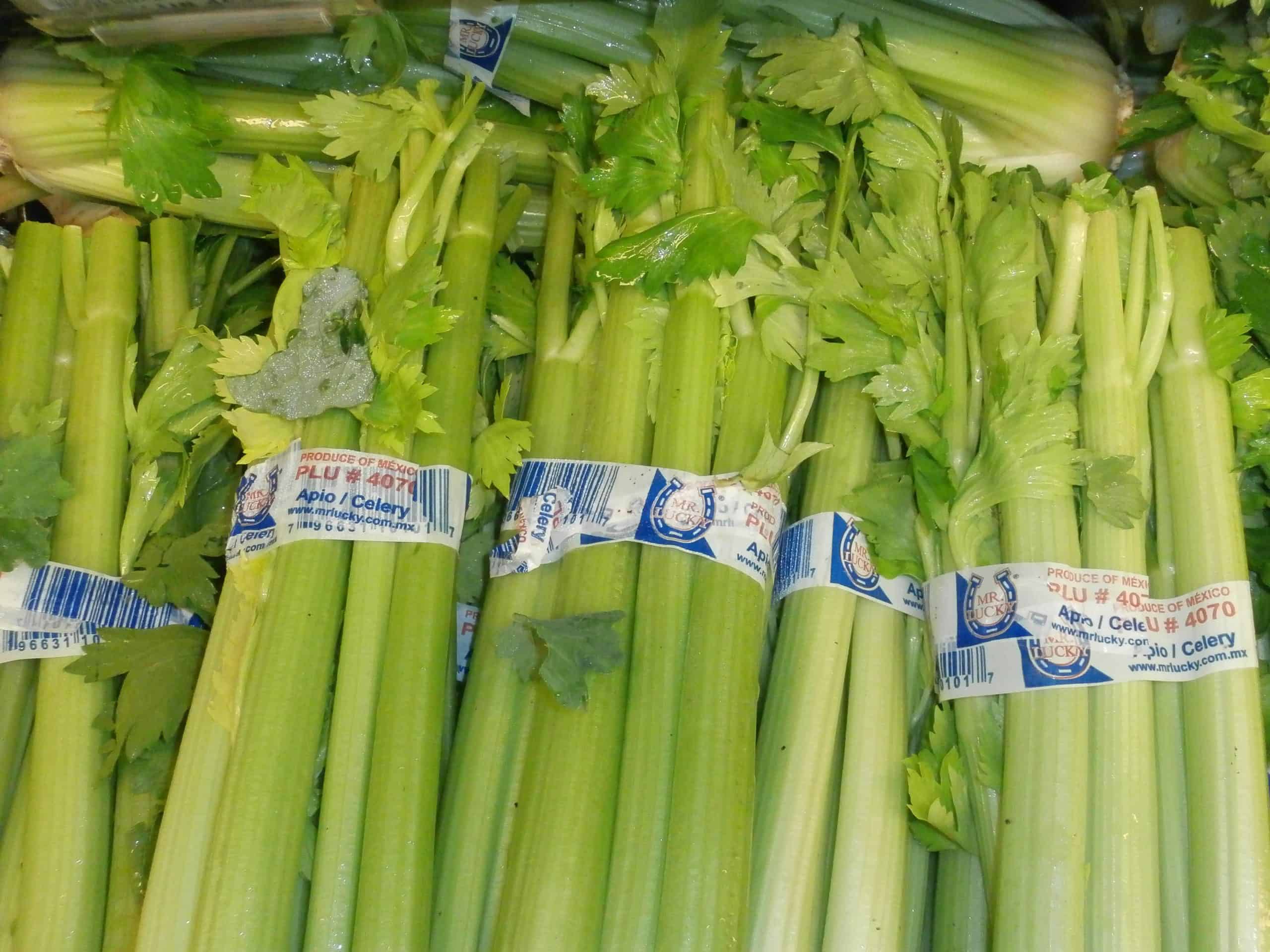 Celery: Crunchy and Contaminated