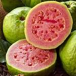 Guava