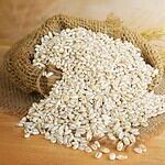 Earliest Known Beer Brewing: Iranian Barley Beer