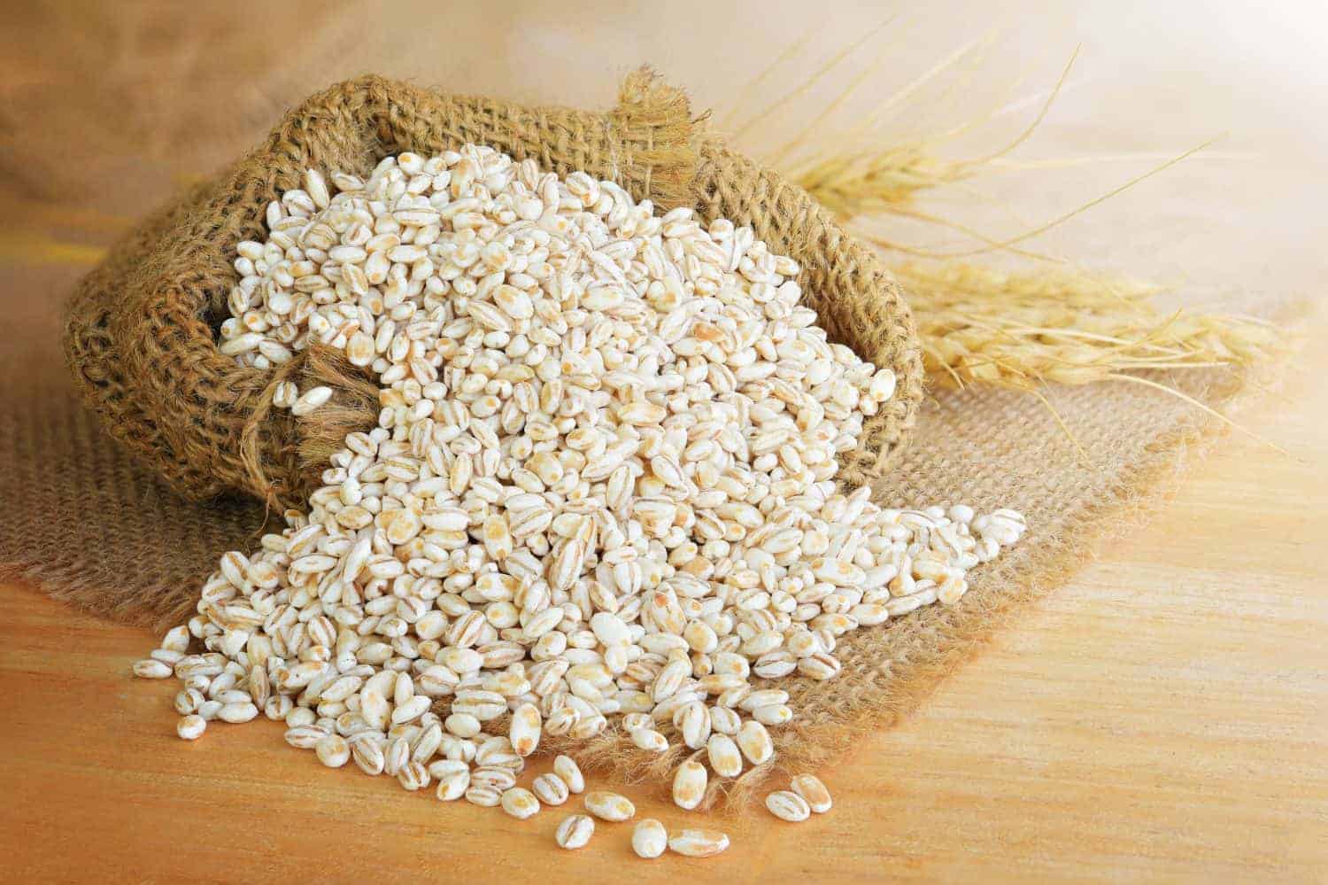Earliest Known Beer Brewing: Iranian Barley Beer