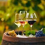 Hajji Firuz Tepe Wine