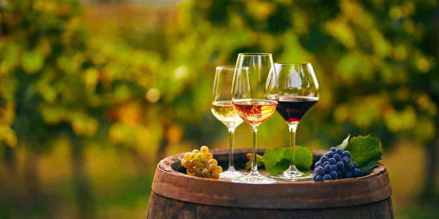 Hajji Firuz Tepe Wine