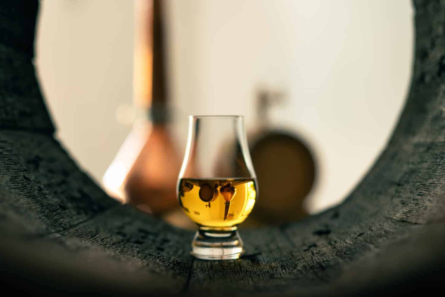 World’s Oldest Alcoholic Drink: Chinese Fermented Beverage (Modern Recreation: Chateau Jiahu)