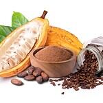 Cacao Wine (Modern Recreation: Theobroma)
